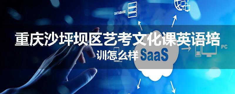 重庆沙坪坝区艺考文化课英语培训怎么样