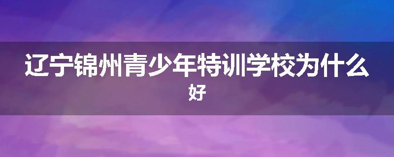 辽宁锦州青少年特训学校为什么好