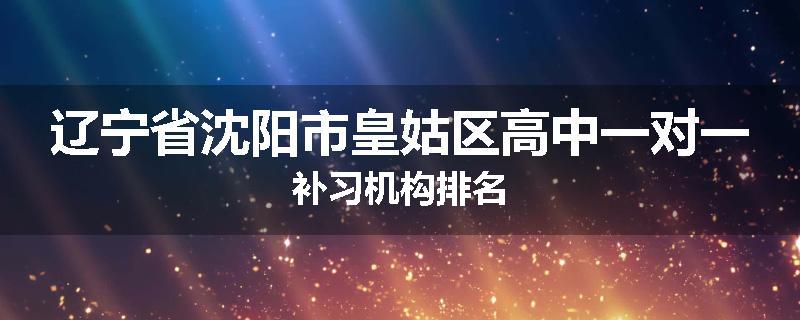 辽宁省沈阳市皇姑区高中一对一补习机构排名