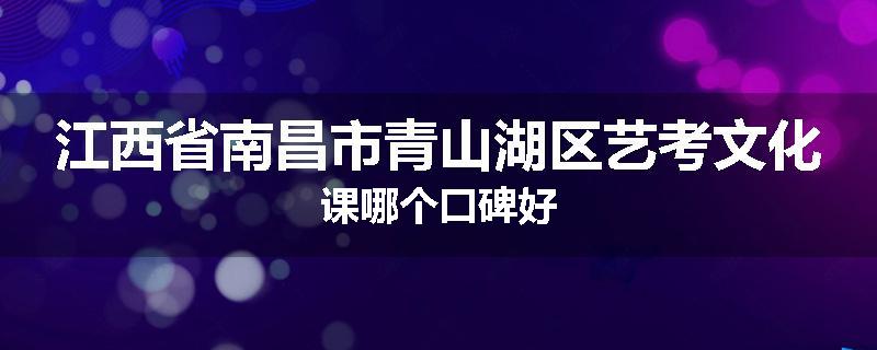 江西省南昌市青山湖区艺考文化课哪个口碑好