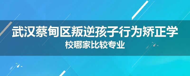 武汉蔡甸区叛逆孩子行为矫正学校哪家比较专业