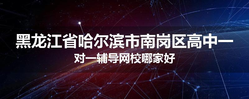 黑龙江省哈尔滨市南岗区高中一对一辅导网校哪家好