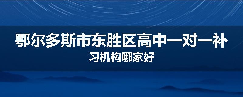 鄂尔多斯市东胜区高中一对一补习机构哪家好
