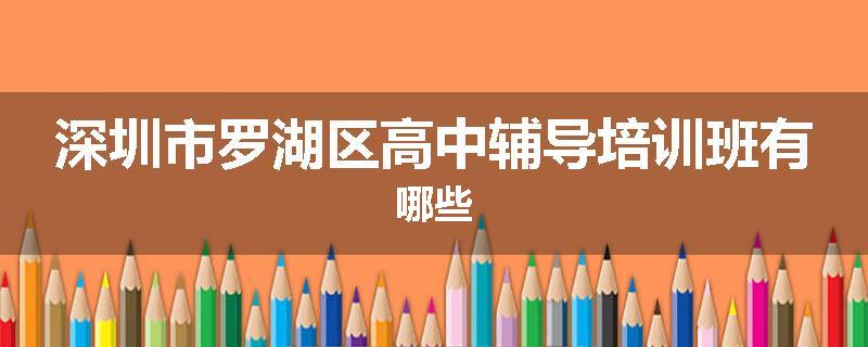深圳市罗湖区高中辅导培训班有哪些