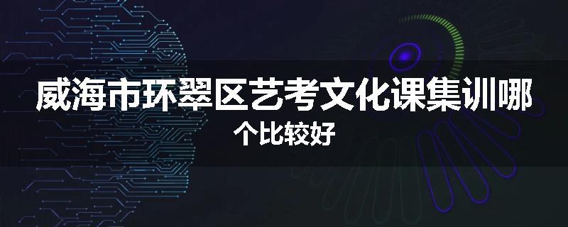 威海市环翠区艺考文化课集训哪个比较好