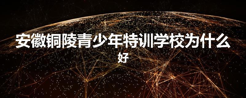 安徽铜陵青少年特训学校为什么好