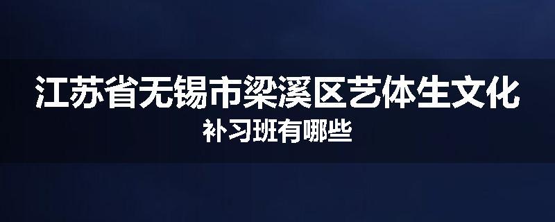 江苏省无锡市梁溪区艺体生文化补习班有哪些