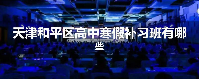 天津和平区高中寒假补习班有哪些