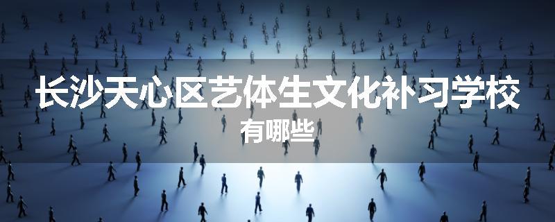 长沙天心区艺体生文化补习学校有哪些
