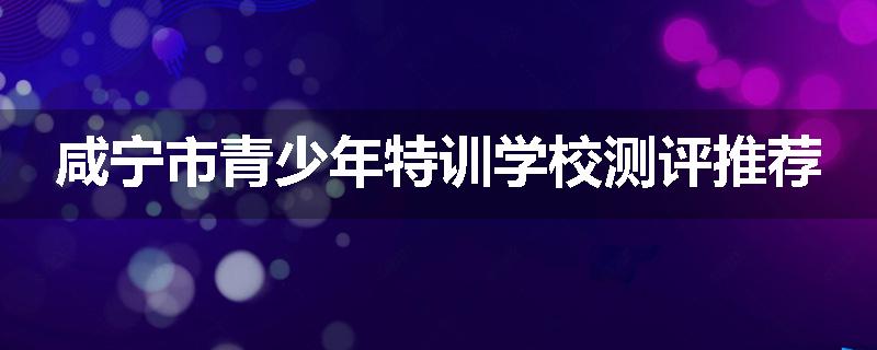 咸宁市青少年特训学校测评推荐