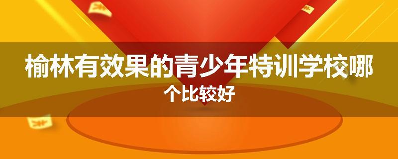 榆林有效果的青少年特训学校哪个比较好