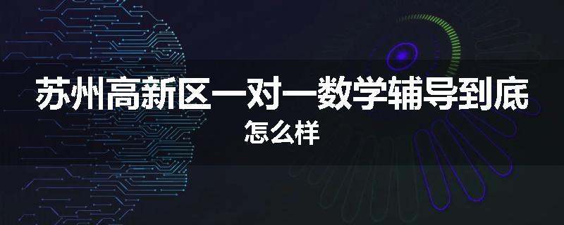 苏州高新区一对一数学辅导到底怎么样