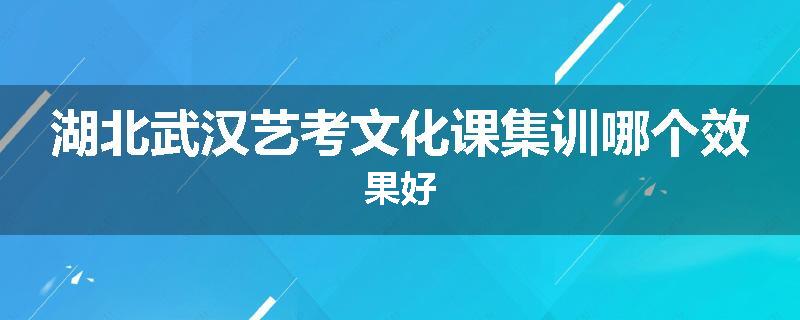 湖北武汉艺考文化课集训哪个效果好