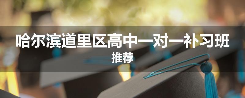 哈尔滨道里区高中一对一补习班推荐