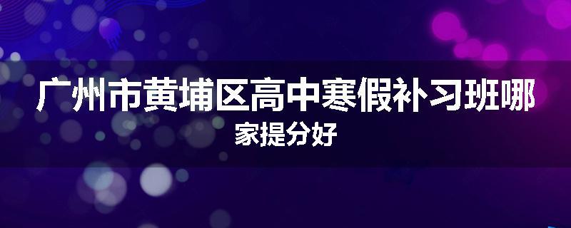 广州市黄埔区高中寒假补习班哪家提分好