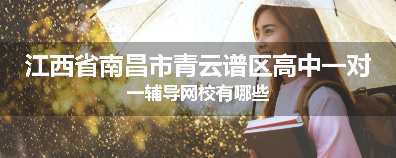 江西省南昌市青云谱区高中一对一辅导网校有哪些