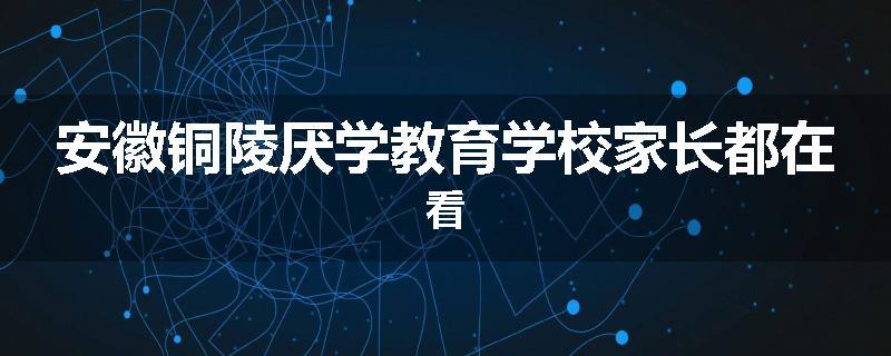 安徽铜陵厌学教育学校家长都在看