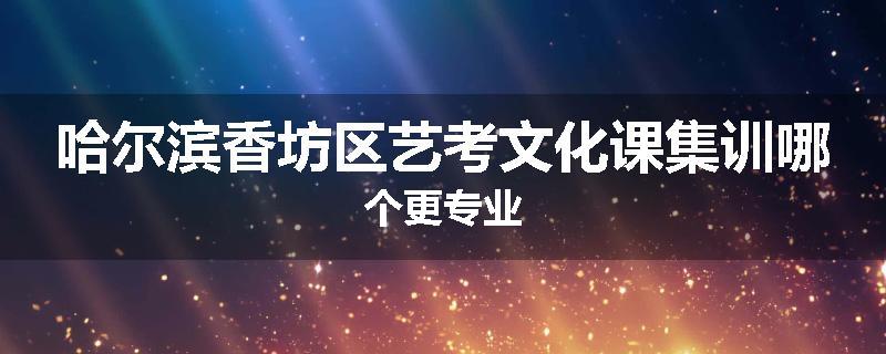 哈尔滨香坊区艺考文化课集训哪个更专业