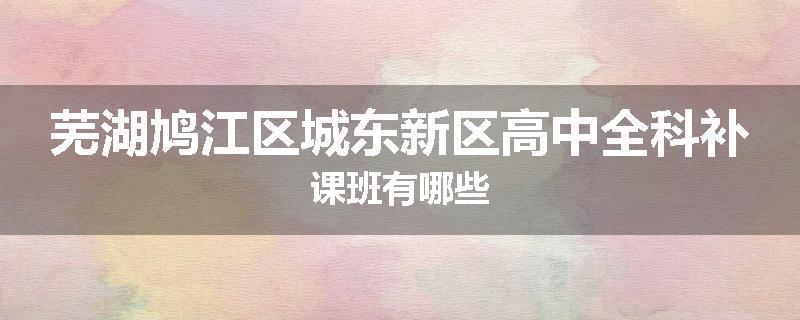 芜湖鸠江区城东新区高中全科补课班有哪些