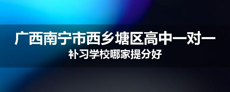 广西南宁市西乡塘区高中一对一补习学校哪家提分好