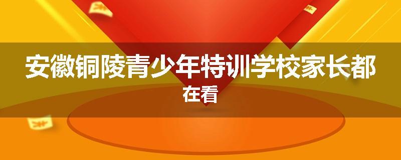 安徽铜陵青少年特训学校家长都在看