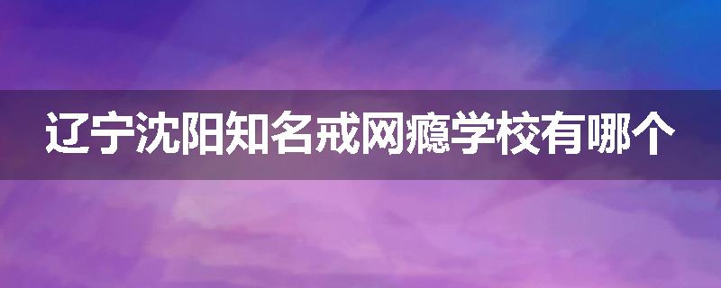 辽宁沈阳知名戒网瘾学校有哪个