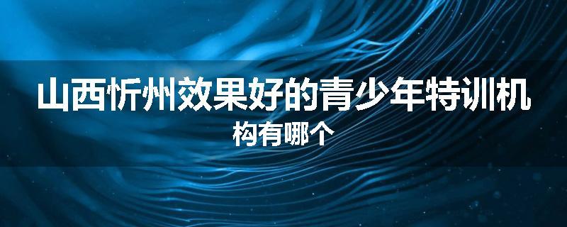山西忻州效果好的青少年特训机构有哪个