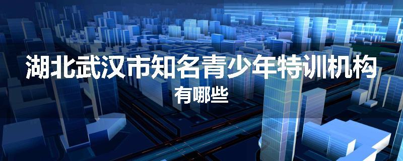 湖北武汉市知名青少年特训机构有哪些