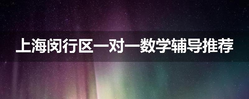 上海闵行区一对一数学辅导推荐