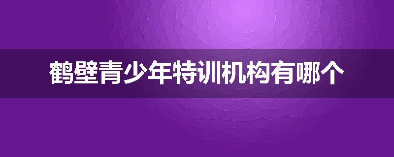 鹤壁青少年特训机构有哪个