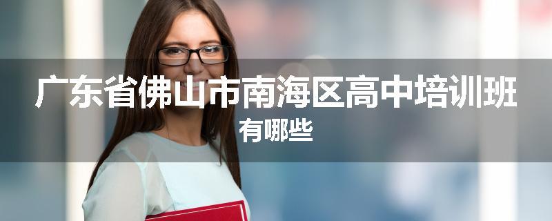 广东省佛山市南海区高中培训班有哪些