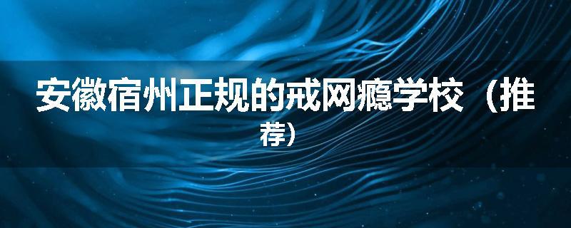 安徽宿州正规的戒网瘾学校（推荐）