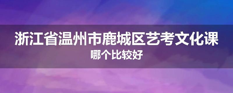 浙江省温州市鹿城区艺考文化课哪个比较好