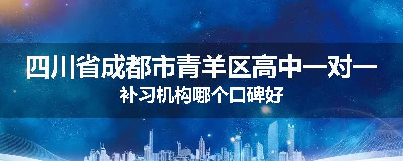 四川省成都市青羊区高中一对一补习机构哪个口碑好