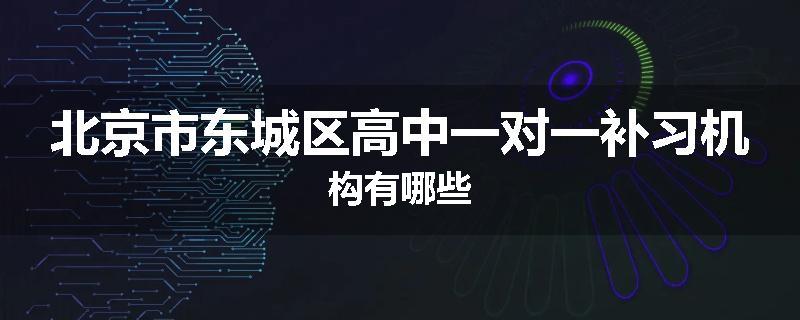 北京市东城区高中一对一补习机构有哪些