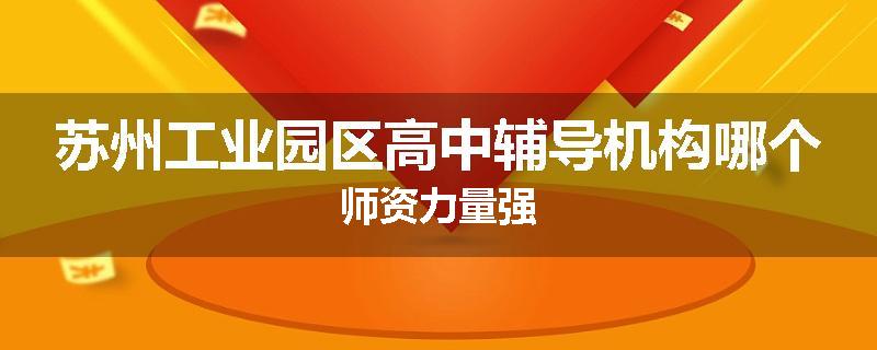 苏州工业园区高中辅导机构哪个师资力量强