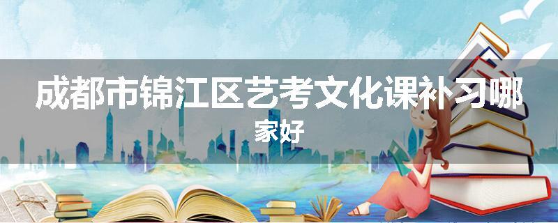 成都市锦江区艺考文化课补习哪家好