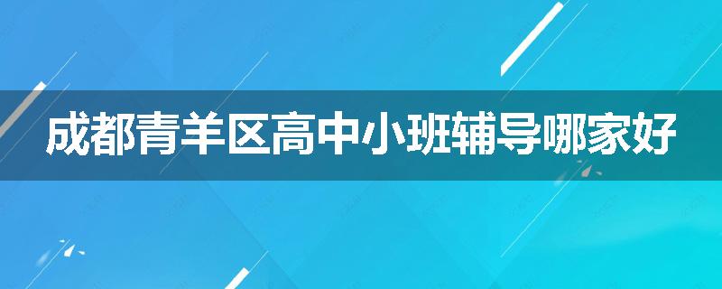 成都青羊区高中小班辅导哪家好