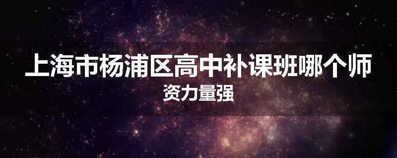 上海市杨浦区高中补课班哪个师资力量强