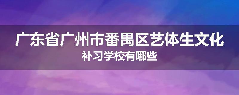 广东省广州市番禺区艺体生文化补习学校有哪些