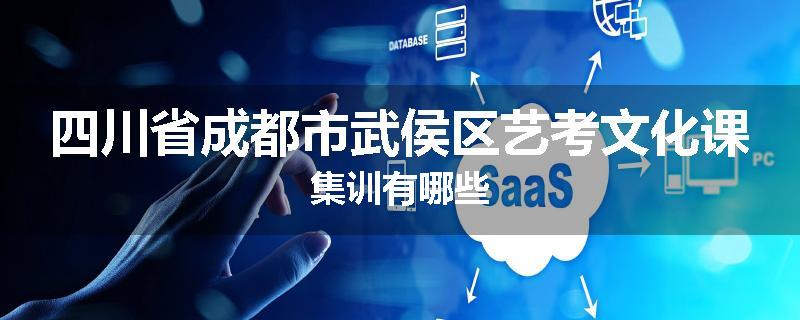 四川省成都市武侯区艺考文化课集训有哪些