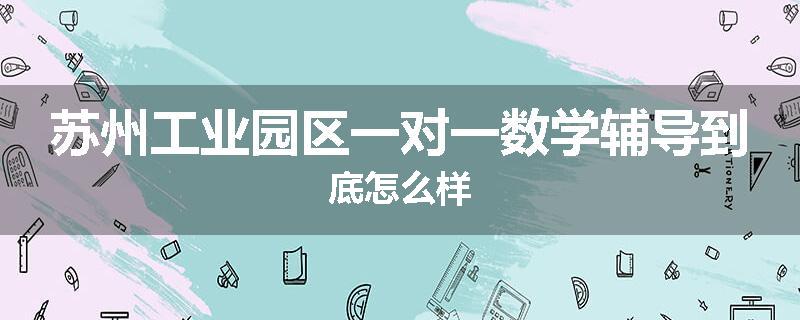 苏州工业园区一对一数学辅导到底怎么样