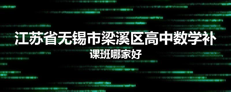 江苏省无锡市梁溪区高中数学补课班哪家好
