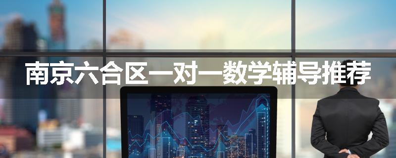 南京六合区一对一数学辅导推荐