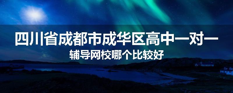四川省成都市成华区高中一对一辅导网校哪个比较好