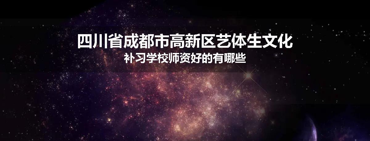 四川省成都市高新区艺体生文化补习学校师资好的有哪些