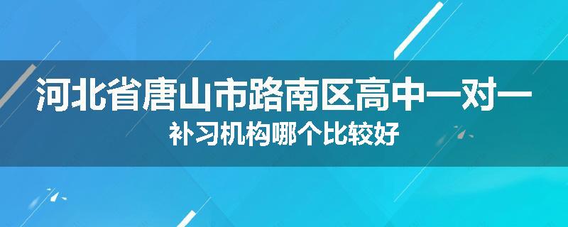 河北省唐山市路南区高中一对一补习机构哪个比较好