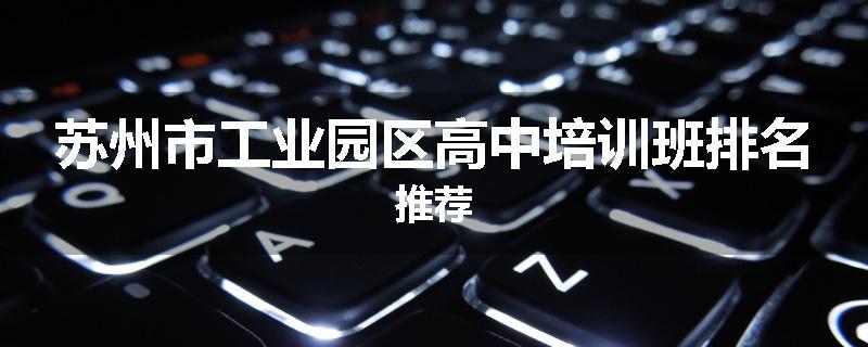 苏州市工业园区高中培训班排名推荐
