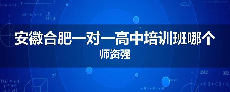 安徽合肥一对一高中培训班哪个师资强