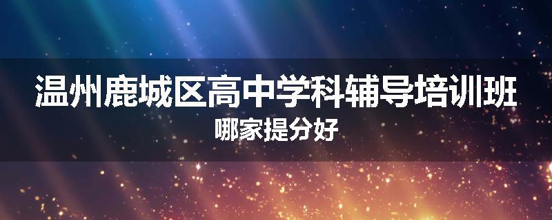 温州鹿城区高中学科辅导培训班哪家提分好
